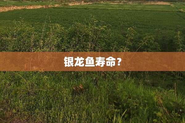 银龙鱼寿命？