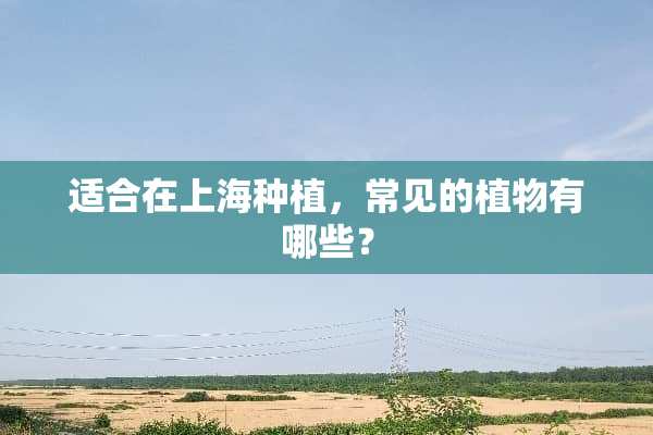 适合在上海种植，常见的植物有哪些？
