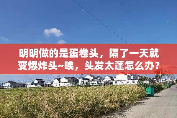 明明做的是蛋卷头，隔了一天就变爆炸头~唉，头发太蓬怎么办？