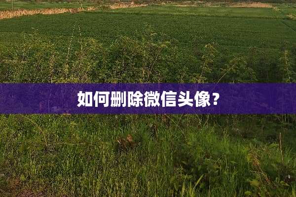如何删除微信头像？
