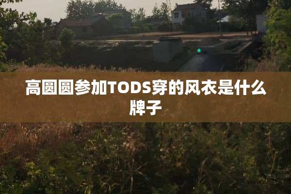 高圆圆参加TODS穿的风衣是什么牌子