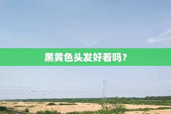 黑黄色头发好看吗？