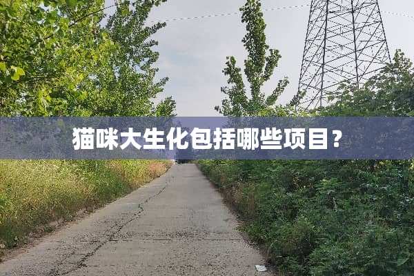 猫咪大生化包括哪些项目？