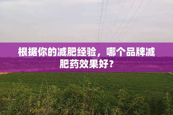 根据你的减肥经验，哪个品牌***效果好？