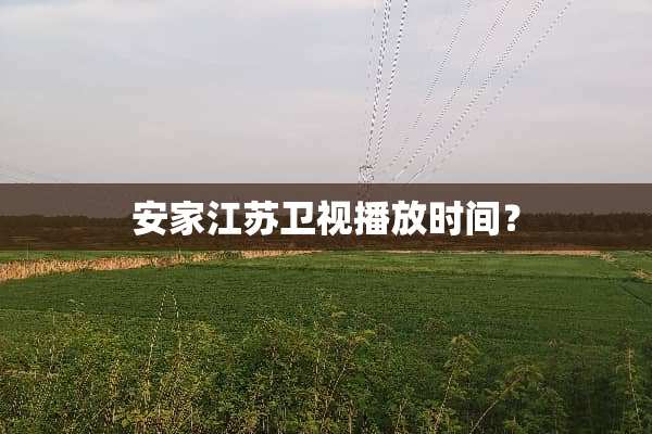 安家江苏卫视播放时间？