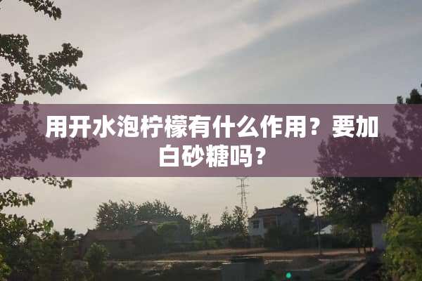 用开水泡柠檬有什么作用？要加白砂糖吗？