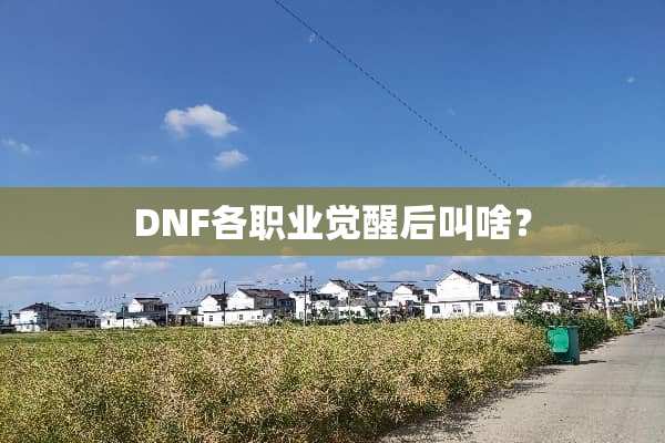 DNF各职业觉醒后叫啥？