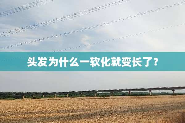 头发为什么一软化就变长了？