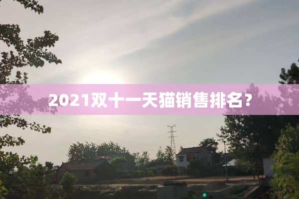 2021双十一天猫销售排名？