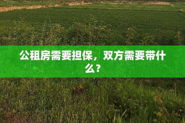 公租房需要担保，双方需要带什么？