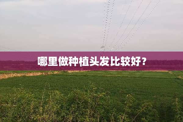 哪里做种植头发比较好？