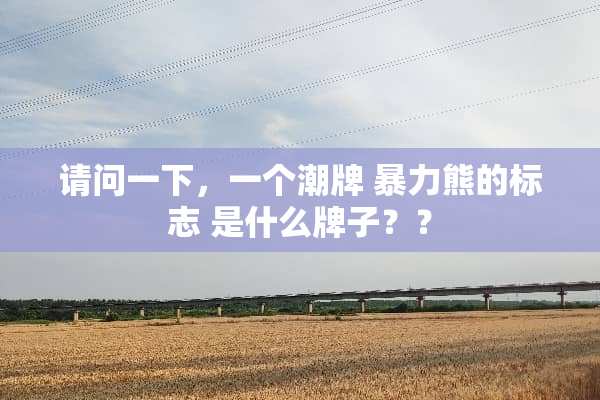 请问一下，一个潮牌 **熊的标志 是什么牌子？？