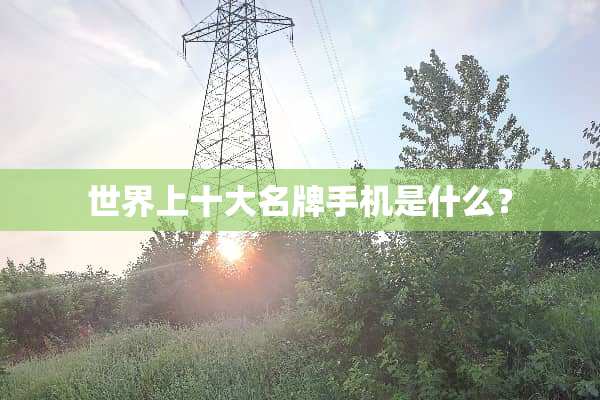 世界上十大名牌手机是什么？