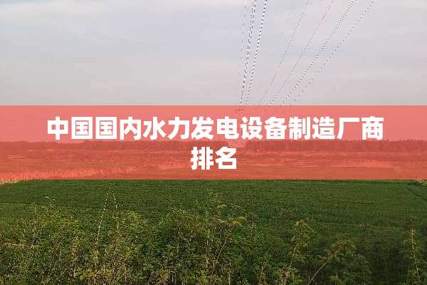 中国国内水力发电设备制造厂商排名