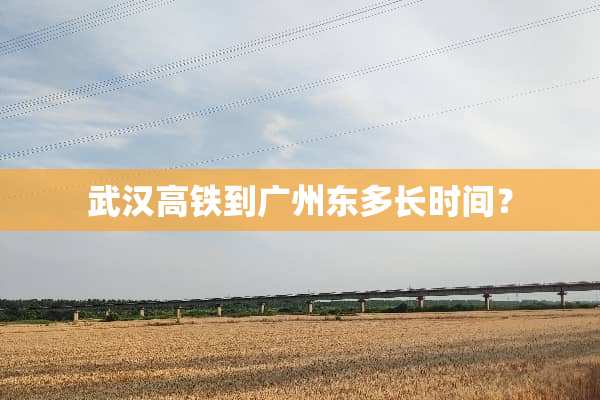 武汉高铁到广州东多长时间？