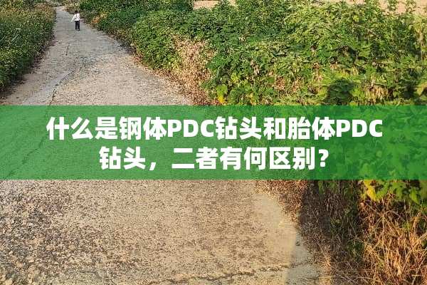什么是钢体PDC钻头和胎体PDC钻头，二者有何区别？