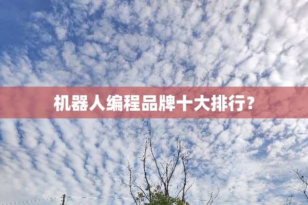 机器人编程品牌十大排行？