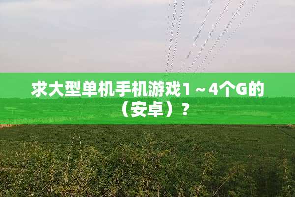 求大型单机手机游戏1～4个G的（安卓）？