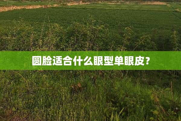 圆脸适合什么眼型单眼皮？