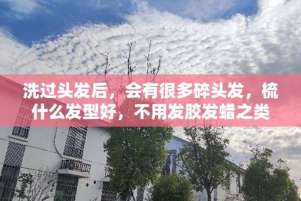 洗过头发后，会有很多碎头发，梳什么发型好，不用发胶发蜡之类的？