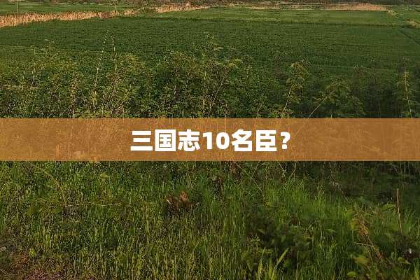 三国志10名臣？