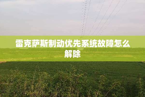 雷克萨斯制动优先系统故障怎么解除
