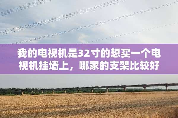 我的电视机是32寸的想买一个电视机挂墙上，哪家的支架比较好？