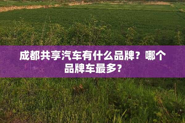 成都共享汽车有什么品牌？哪个品牌车最多？