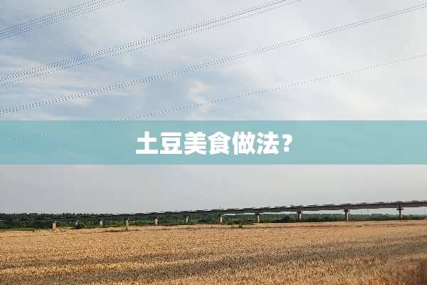 土豆美食做法？