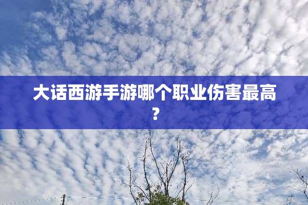 大话西游手游哪个职业伤害最高？