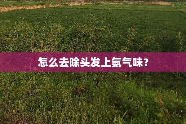 怎么去除头发上氨气味？