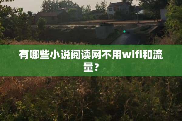有哪些小说阅读网不用wifi和流量？