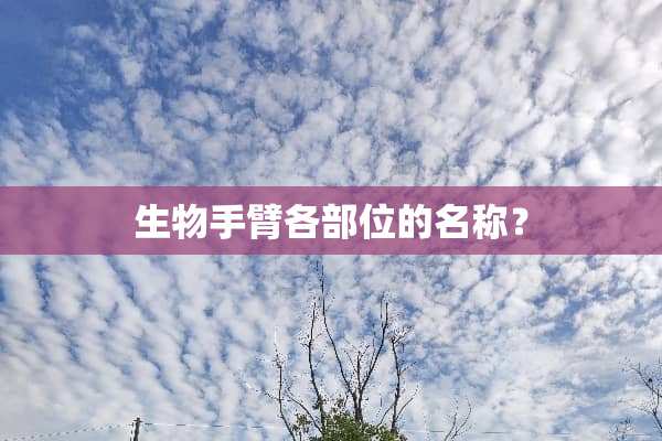 生物手臂各部位的名称？