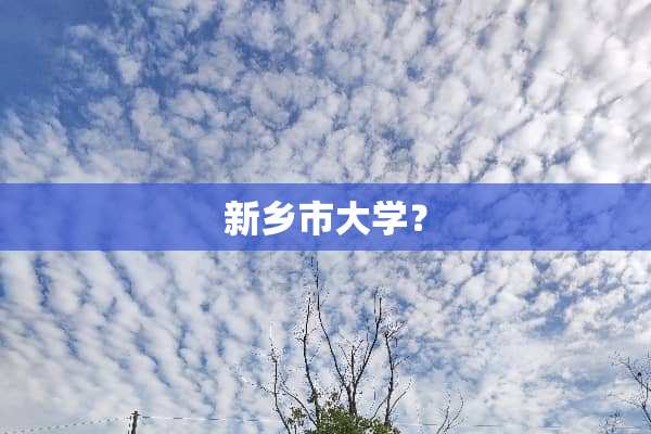 新乡市大学？