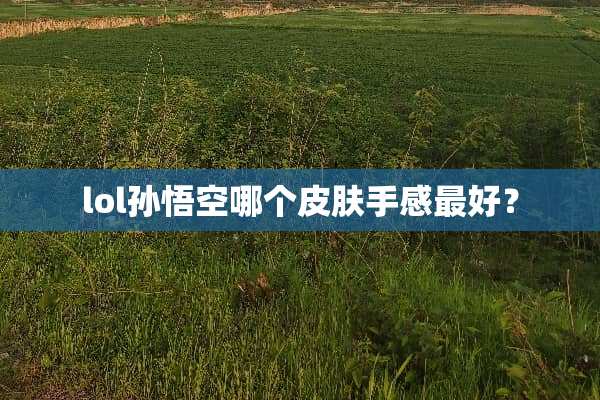 lol孙悟空哪个皮肤手感最好？