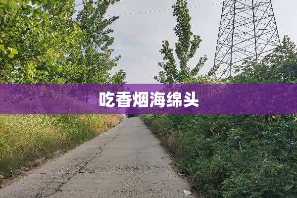 吃香烟海绵头