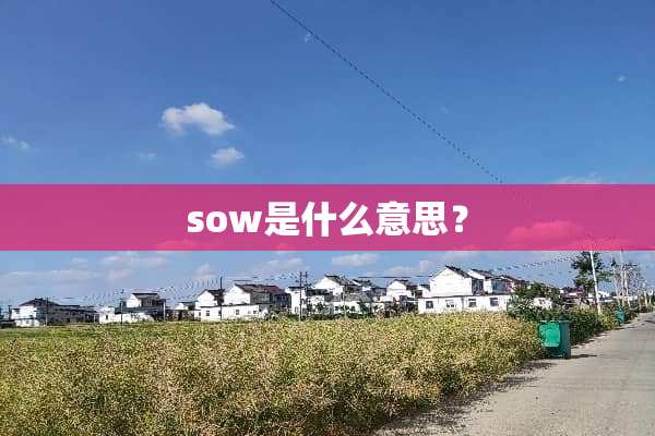 sow是什么意思？