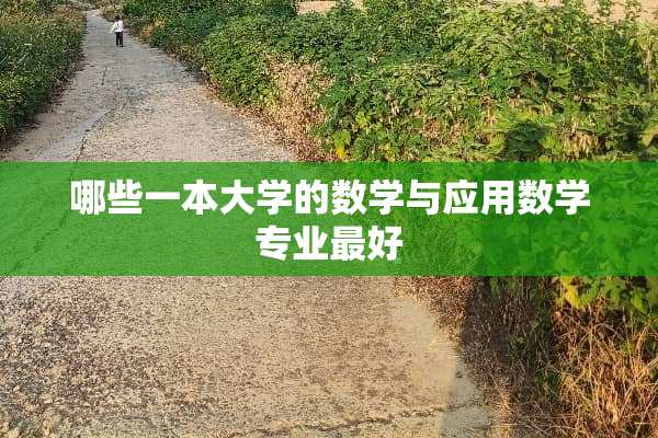 哪些一本大学的数学与应用数学专业最好