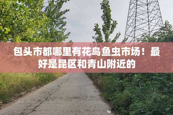 包头市都哪里有花鸟鱼虫市场！最好是昆区和青山附近的