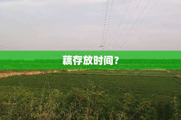 藕存放时间？