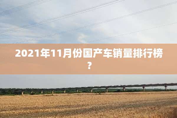 2021年11月份国产车销量排行榜？