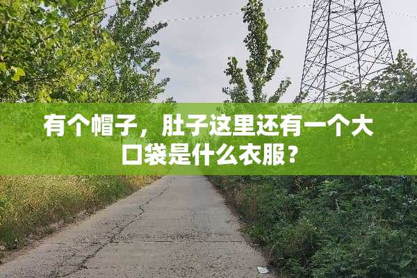有个帽子，肚子这里还有一个大口袋是什么衣服？