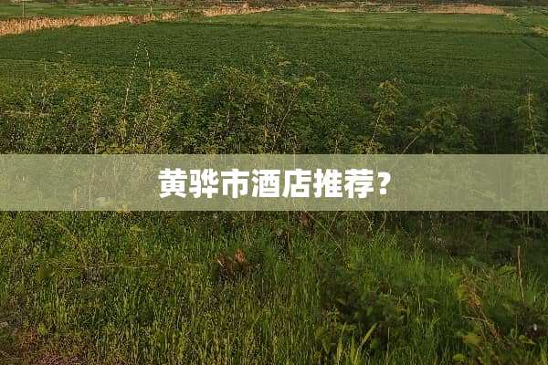 黄骅市酒店推荐？