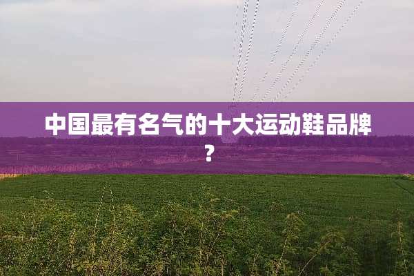 中国最有名气的十大运动鞋品牌？