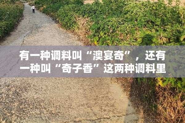 有一种调料叫“澳宴奇”，还有一种叫“奇子香”这两种调料里面有没有**？