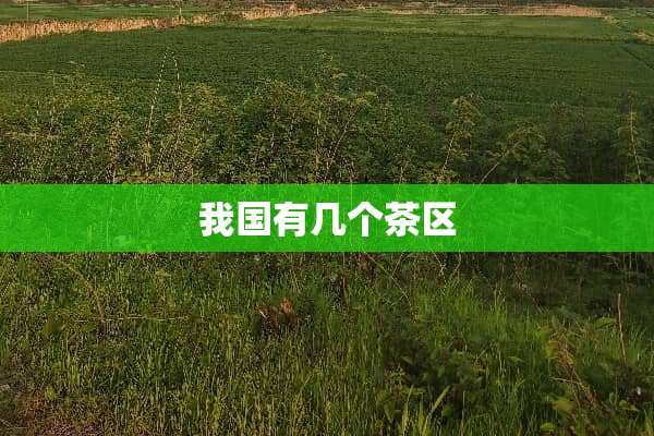 我国有几个茶区