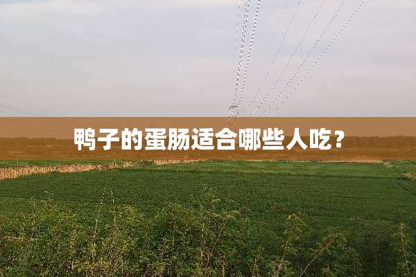 鸭子的蛋肠适合哪些人吃？