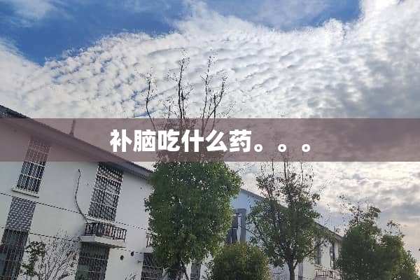补脑吃什么药。。。