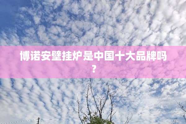博诺安壁挂炉是中国十大品牌吗？
