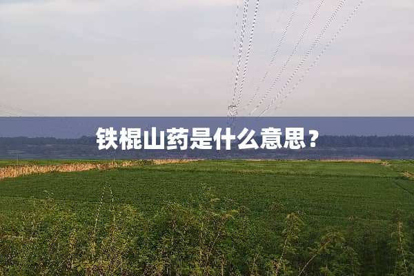 铁棍山药是什么意思？